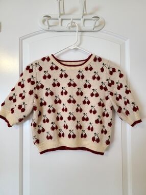 Cider Crop Top Sweater🍒